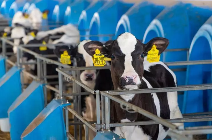 Иллюстрация #2 для статьи «производство молока: Агросила ввела в эксплуатацию вторую очередь молочного комплекса Азнакай на 2000 голов КРС»