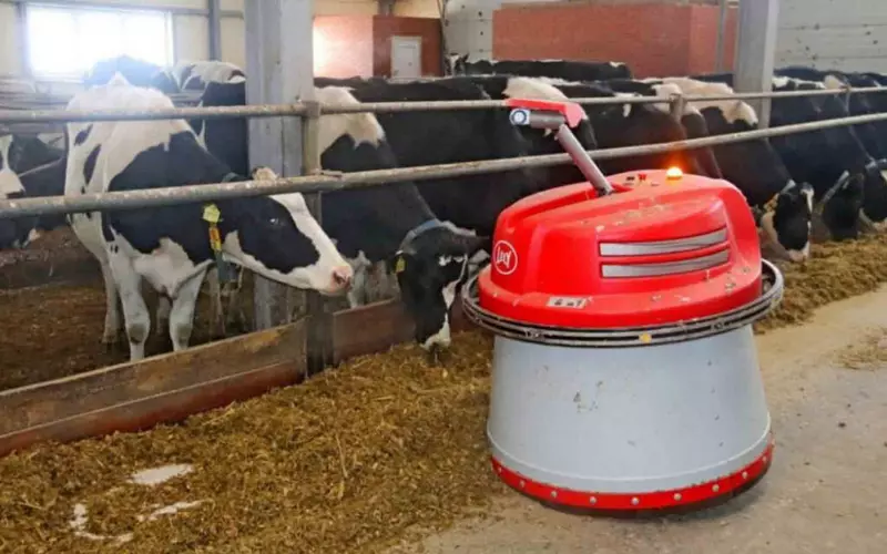 Агрофирма Байрамгул в Башкирии модернизировала молочное производство