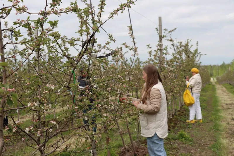 Изображение #3 для поста «Брянский сад: В Клетнянском районе Брянской области открыли плодохранилище для яблок»