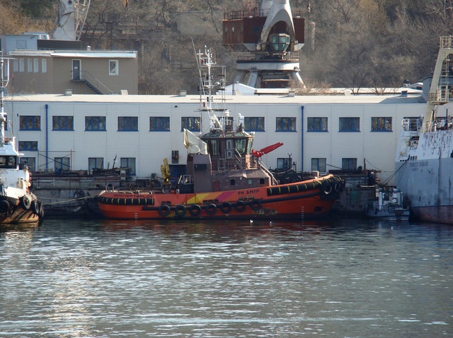 букстир «РН Амур» ((С) фото IgorGl fleetphoto.ru 7.05.13)