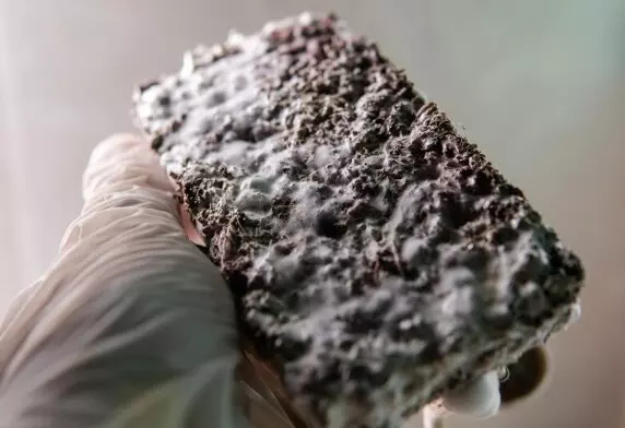 Челябинские специалисты создали улучшающий качество окружающей среды бетон