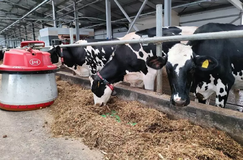 Изображение #1 для статьи «Новые и модернизированные предприятия агропрома: Роботизированная ферма запущена в Борском районе Нижегородской области»