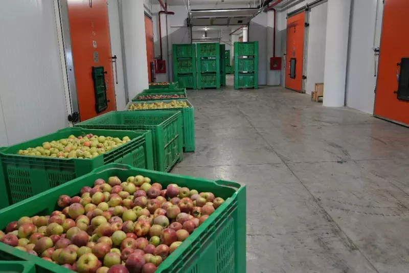 Фото #13 для «Новые предприятия АПК и пищевой промышленности в ноябре 2024 года»