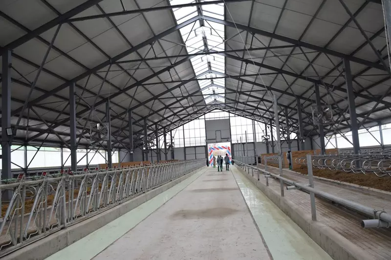 Изображение #3 для публикации «Чувашия: В Красночетайском округе Чувашии открыли новый телятник»