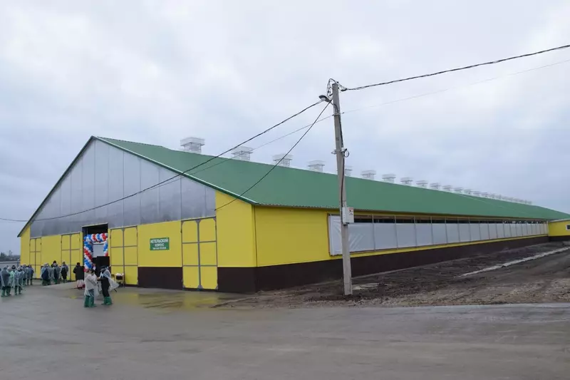 В Красночетайском округе Чувашии открыли новый телятник