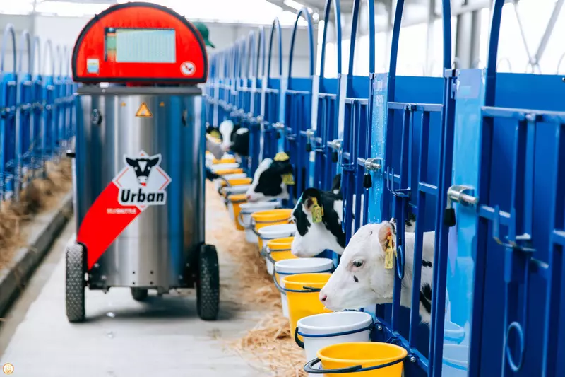 Изображение 4 для поста «сельское хозяйство: В Чувашии открыт новый животноводческий комплекс»