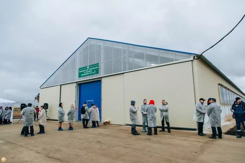 Изображение №2 для публикации «производство молока: В Чувашии открыт новый животноводческий комплекс»