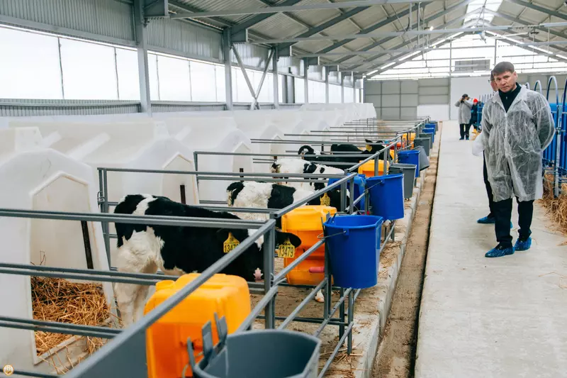 Изображение 5 для поста «В Чувашии открыт новый животноводческий комплекс»