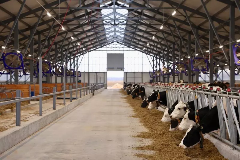 Иллюстрация #1 для статьи «Новые и модернизированные предприятия агропрома: В Чувашии открылся новый животноводческий комплекс»