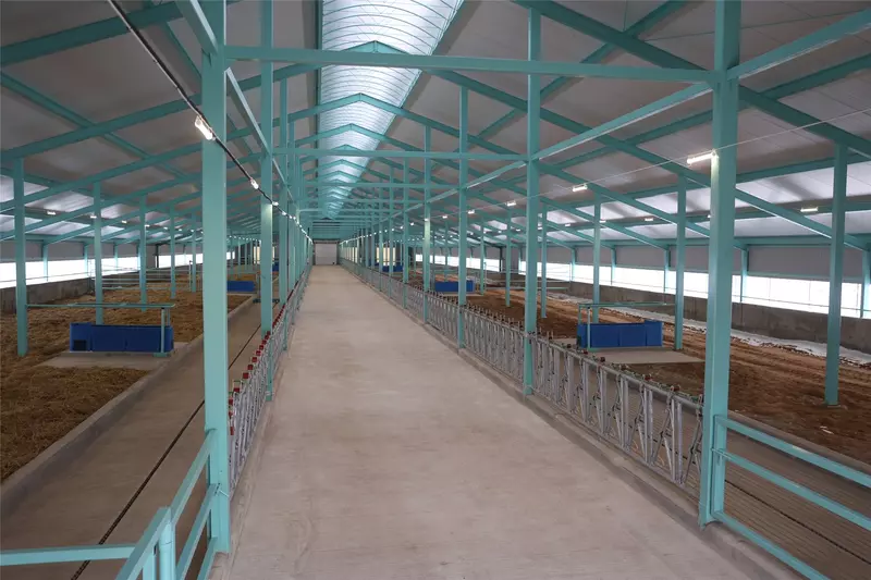 Изображение #5 для публикации «В Чувашии введены в эксплуатацию роботизированная молочная ферма и телятник»