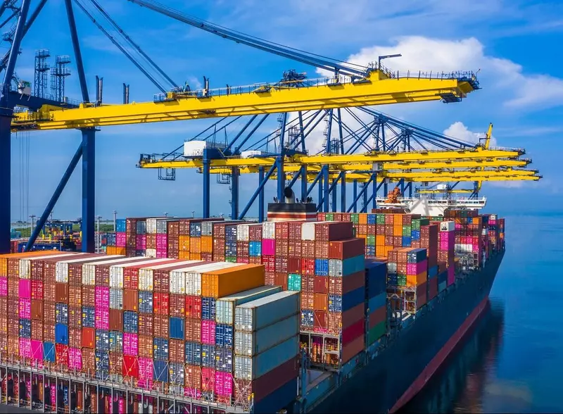 Рост объёмов экспорта сельскохозяйственной продукции в первом полугодии