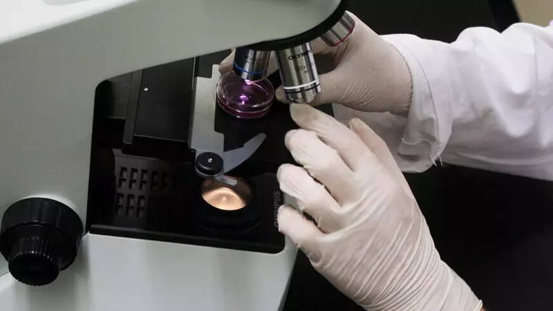 Российские ученые разработали уникальную технологию модификации стекла