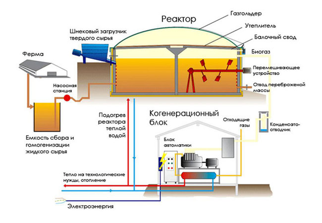 Биогазовое оборудование для фермы КРС | СельхозБиоГаз