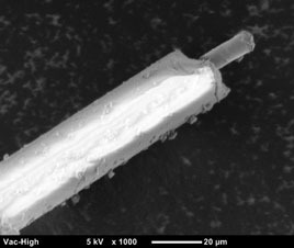 Электронная микрофотография строения аморфного ферромагнитного микропровода в стеклянной изоляции. Длина масштабного штриха на снимке –20 мкм.