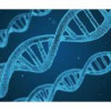 Успешно завершены испытания первого отечественного полногеномного секвенатора ДНК «Нанофор СПС»