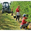 Аграрии Крыма собрали в 2020 году 83 тыс. тонн яблок.