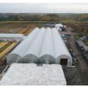 Тепличный комплекс по выращиванию цветов и рассады открыли в Московской области