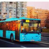 В Петербурге на маршруты вышли 100 новых низкопольных автобусов