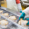 Новое предприятие по переработке мяса птицы начало работу в Кабардино-Балкарии
