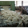 На Махачкалинской шерстеперерабатывающей фабрике запущена линия по производству топса