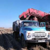 Аграрии Новосибирской области собрали второй по объёму урожай картофеля в истории региона