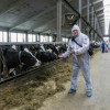 В Ярославской области открылся крупный молочный комплекс
