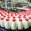 Россия занимает пятое место среди мировых производителей сырого молока