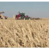 Саратовская область идёт на рекорд по сбору зерна