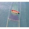 Беспилотники для решения проблем рыбного хозяйства