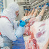 В Воронежской области запустили мясоперерабатывающее предприятие