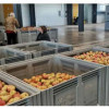 В БГТУ разработали автоматическую линию сортировки овощей и фруктов