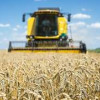 В Ростовской области собран самый большой урожай ранних зерновых за историю региона