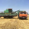 В Калмыкии собрали рекордный урожай зерна в послесоветское время