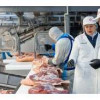 Завершена модернизация Белгородского мясокомбината свинокомплекса «Сибагро»