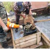 В Саратовское водохранилище выпустили более 3 млн штук молоди сазана