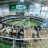 «ЭкоНива» открыла крупный молочный комплекс в Московской области