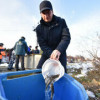 В Верх-Нейвинском водохранилище в Свердловской области прошел второй этап зарыбления