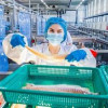 Оборот организаций рыбопромышленного комплекса вырос на 9% — до 695 млрд рублей