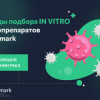 Методы подбора IN VITRO химиопрепаратов от Biomark: Революция в лечении рака