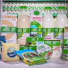 «ЭкоНива» поставила новый рекорд по производству молока