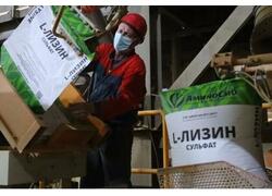 Тюменское импортозамещение (часть 10)