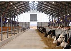 В Чувашии открылся новый животноводческий комплекс