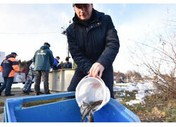 В Верх-Нейвинском водохранилище в Свердловской области прошел второй этап зарыбления