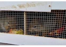 В Кореновске Краснодарского края открылся парк 75-летия Победы