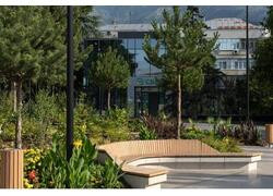 Новости благоустройства территорий