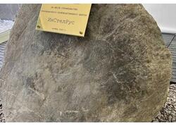 Новое производство цельностеклянных конструкций заложили в ОЭЗ «Санкт-Петербург»