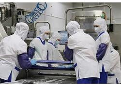 В Нижегородской области «Княгининское молоко» запустило творожное производство