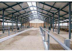 В Чувашии открыли новый откормочный цех на 250 голов