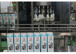 Молокоперерабатывающий завод открыли в Дагестане