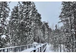 Ямальский меридиан (№ 18)